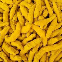 Raw Turmeric Finger