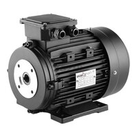 Face Mounted Motor