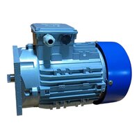 Face Mounted Motor