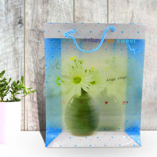 Plastic Transparent Bag With Handle 7909