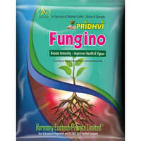 Fungino Pesticides