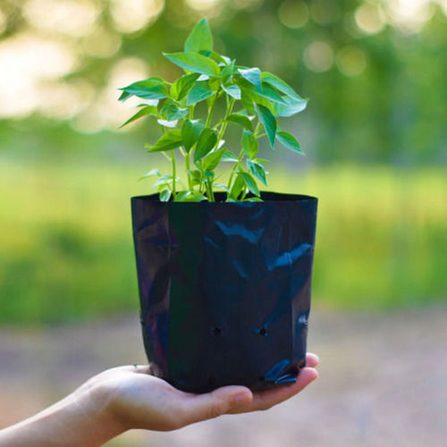 Recyclable Grow Bag - Color: As Per Requirement