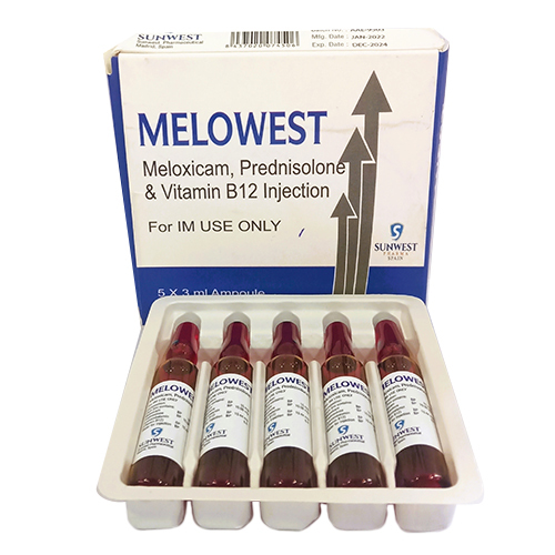 Meloxicam Prednisolone And Vitamin B12 Injection
