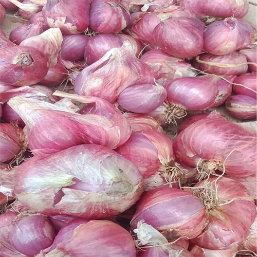 Indian Sambar Onion