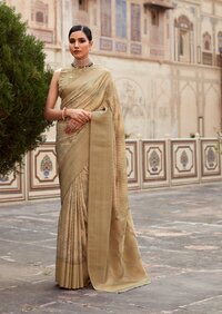 SAREE Soft Tissue Silk