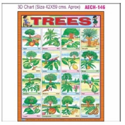 CHART AECH-146