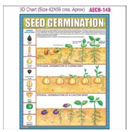 CHART AECH-148