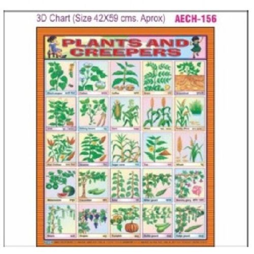 CHART AECH-156