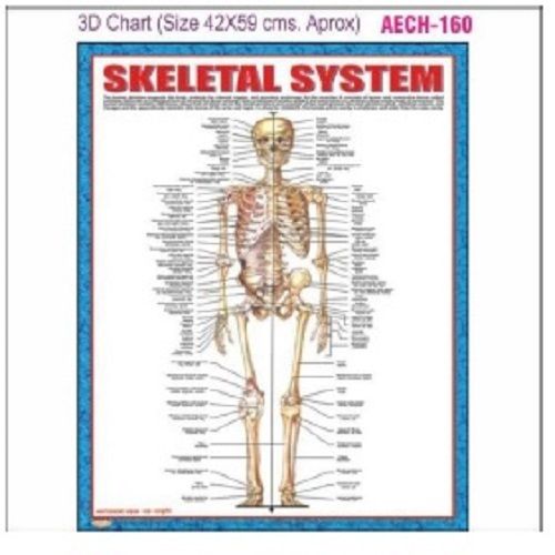 CHART AECH-160