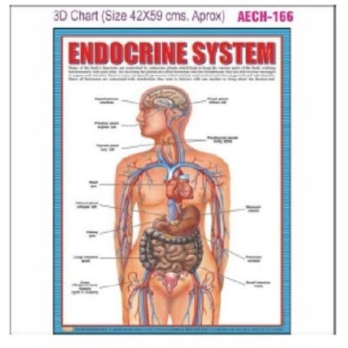 CHART AECH-166