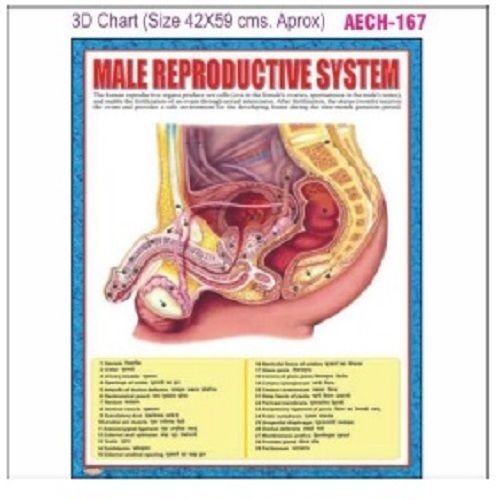 CHART AECH-167