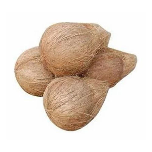 Semi Husked Coconut - Matured, Round Shape, Dried Style | Common Cultivation, Semi-Husked Variety