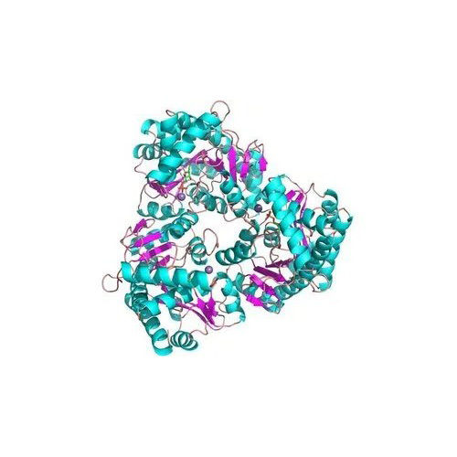 Protease Enzyme Grade: Industrial Grade