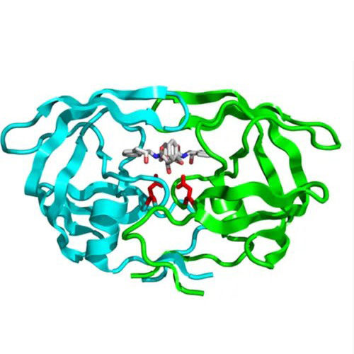 Acid Protease Application: Industrial