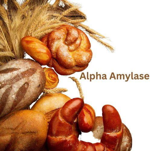 Alpha Amylase Enzyme