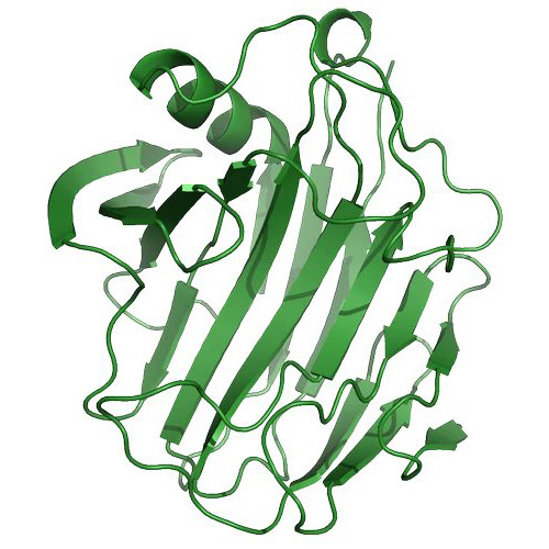 Industrial Cellulase Enzyme