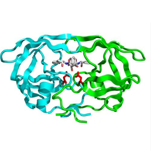 Mannanase Enzyme Application: Industrial