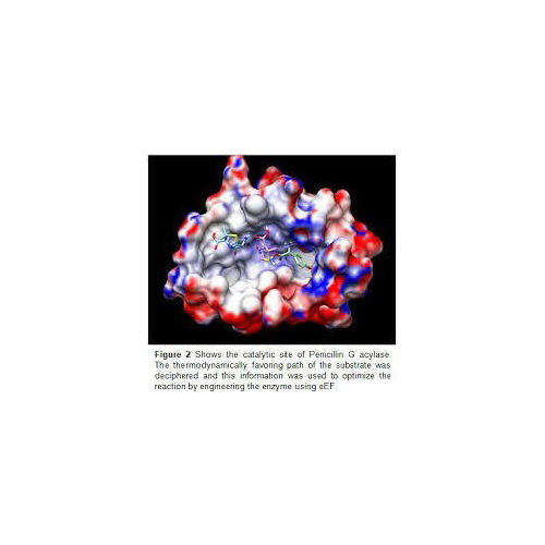 Immobilised Enzymes For Cephalexin Application: Industrial