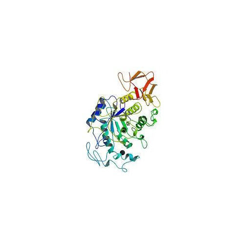 Pancreatin Enzymes Application: Industrial