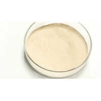 Phytase Enzyme Powder