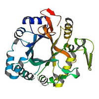 Beta Glucanase - High Purity Powder, Room Temperature Storage | Effective Beta Glucanase For Diverse Applications