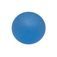Blue Exercise Gel Ball