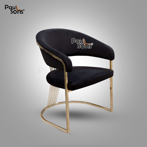 Elegant Modern Look Dining Chair
