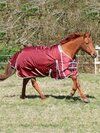 horse rugs