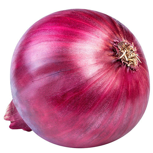 Fresh Onion