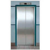 Ss Automatic Elevator Door - Stainless Steel, Ac Drive Type | Electric Power Supply, Safety Sensor & Overload Holding Stop For Passenger Loading