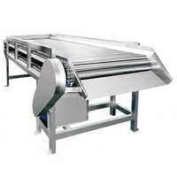 Stainless Steel Bsb Roller Fruit Sorting Conveyor