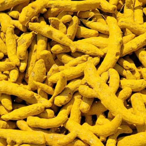 Yellow Turmeric Finger