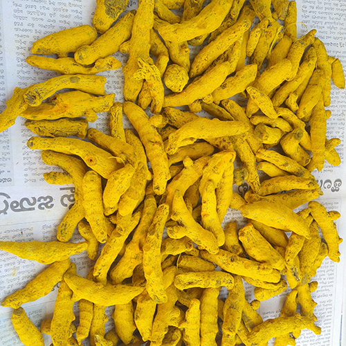Yellow Turmeric Finger