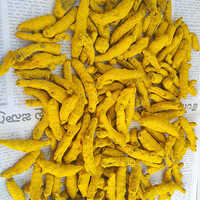 Yellow Turmeric Finger