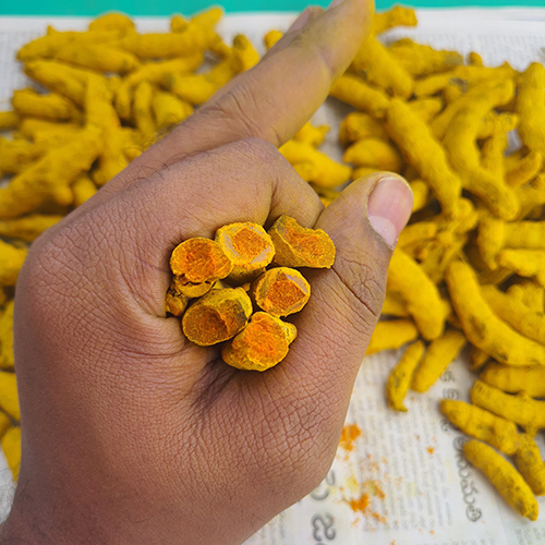 Yellow Turmeric Finger