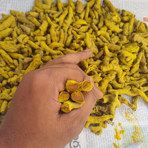 Salem Turmeric Finger