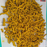 Salem Turmeric Finger
