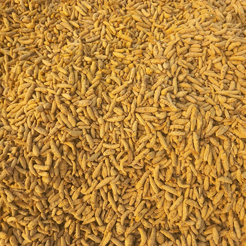 Salem Turmeric Finger