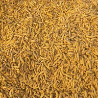 Salem Turmeric Finger