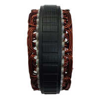Maruti Stator