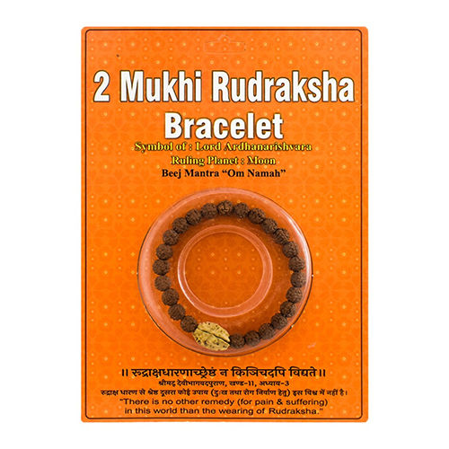 Daily Wear 2 Mukhi Rudraksha Bracelet