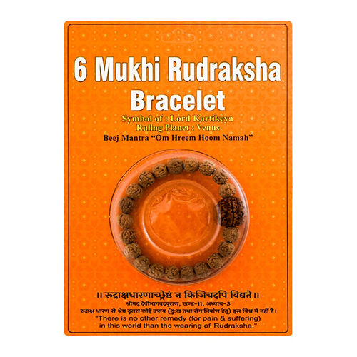 Casual 6 Mukhi Rudraksha Bracelet