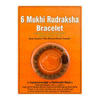 6 Mukhi Rudraksha Bracelet - Occasion: Religious Ceremonies
