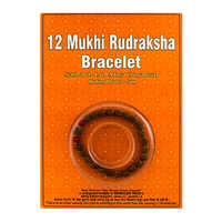 12 Mukhi Rudraksha Bracelet - Occasion: Religious Ceremonies