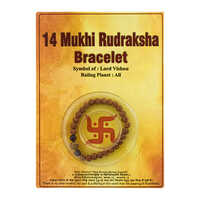 14 Mukhi Rudraksha Bracelet - Occasion: Religious Ceremonies