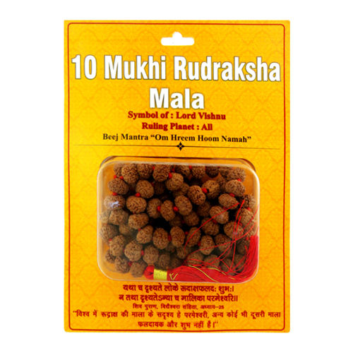 Daily Wear 10 Mukhi Rudraksha Mala