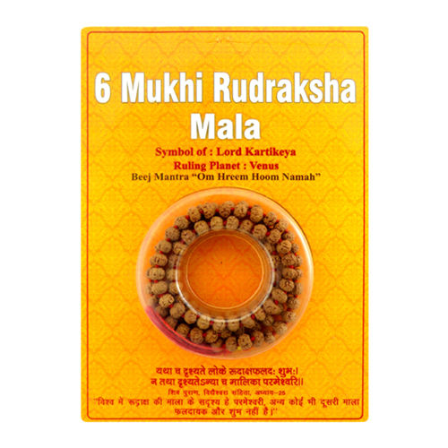 Casual 6 Mukhi Rudraksha Mala