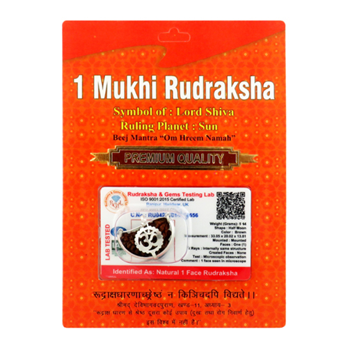 1 Mukhi Rudraksha Pendant