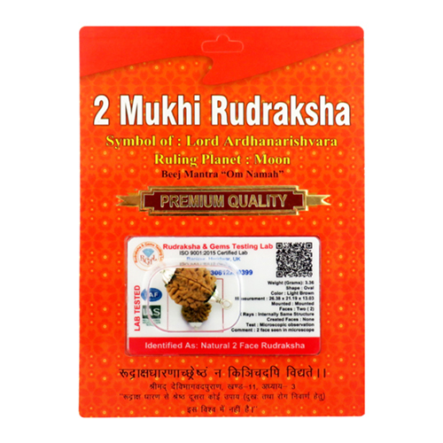 2 Mukhi South Rudraksha Pendant