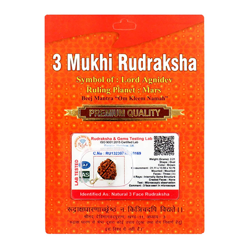 3 Mukhi Rudraksha Pendant